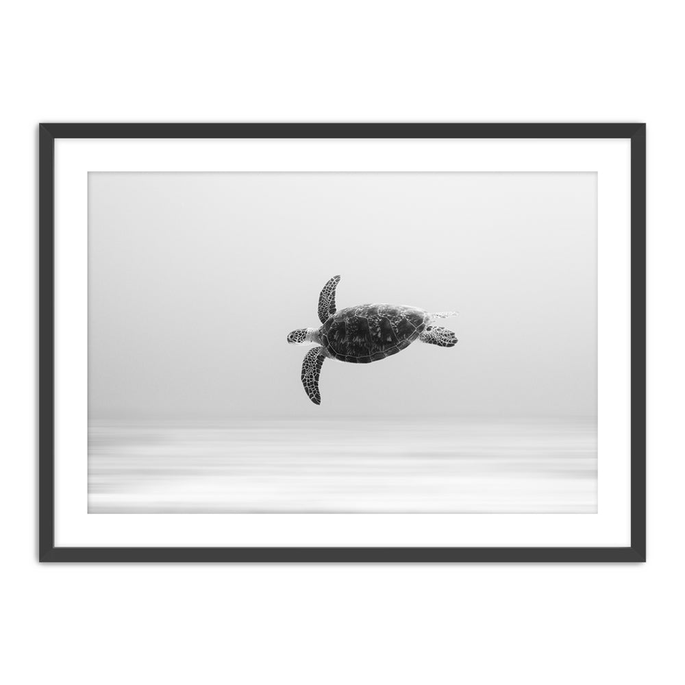 The Wildlife Collection
