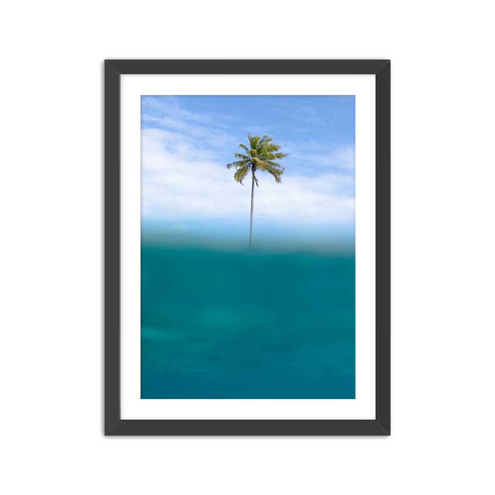 Isola Print Ana Catarina Black Small