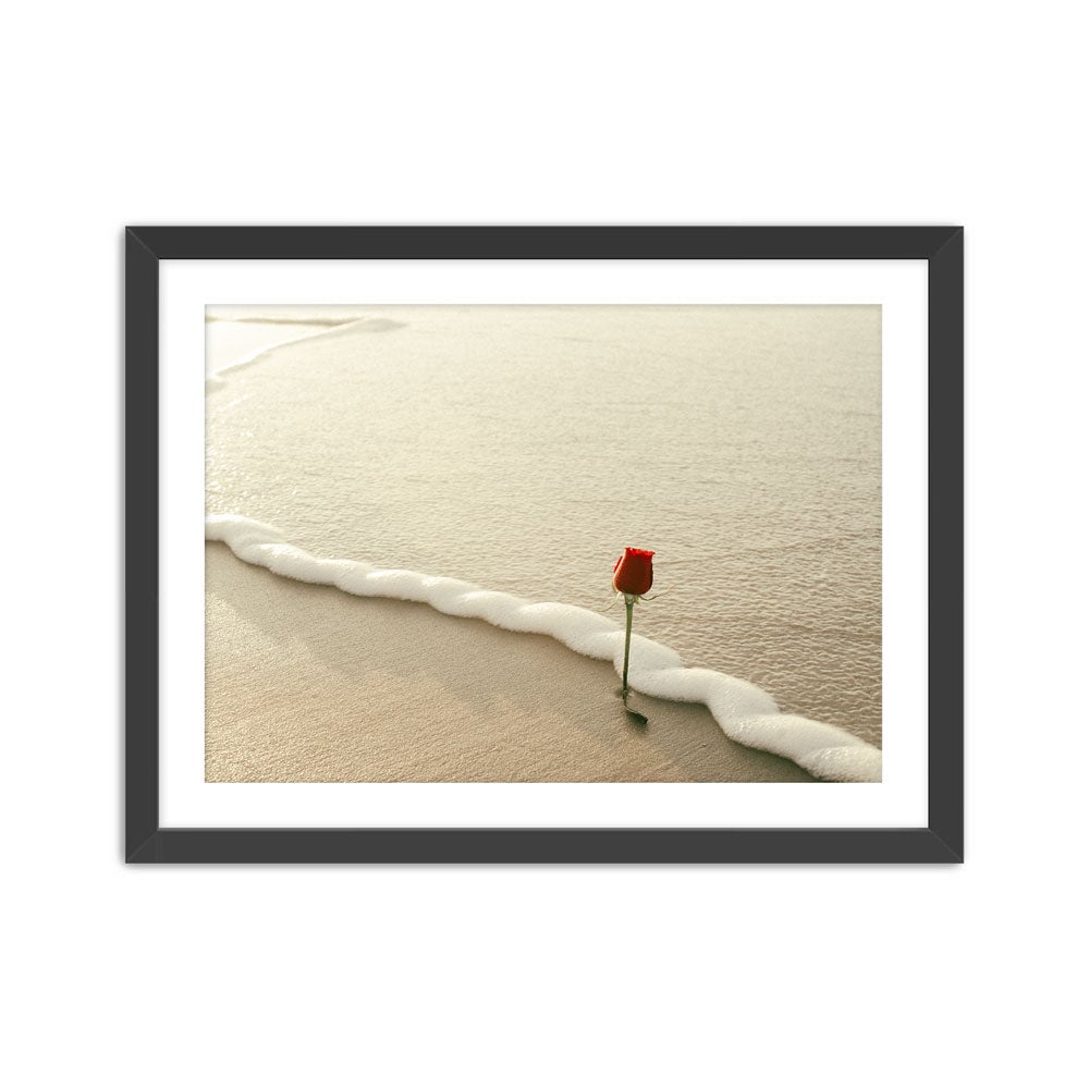 Rendezvous Rosas Print Ana Catarina Black Small 