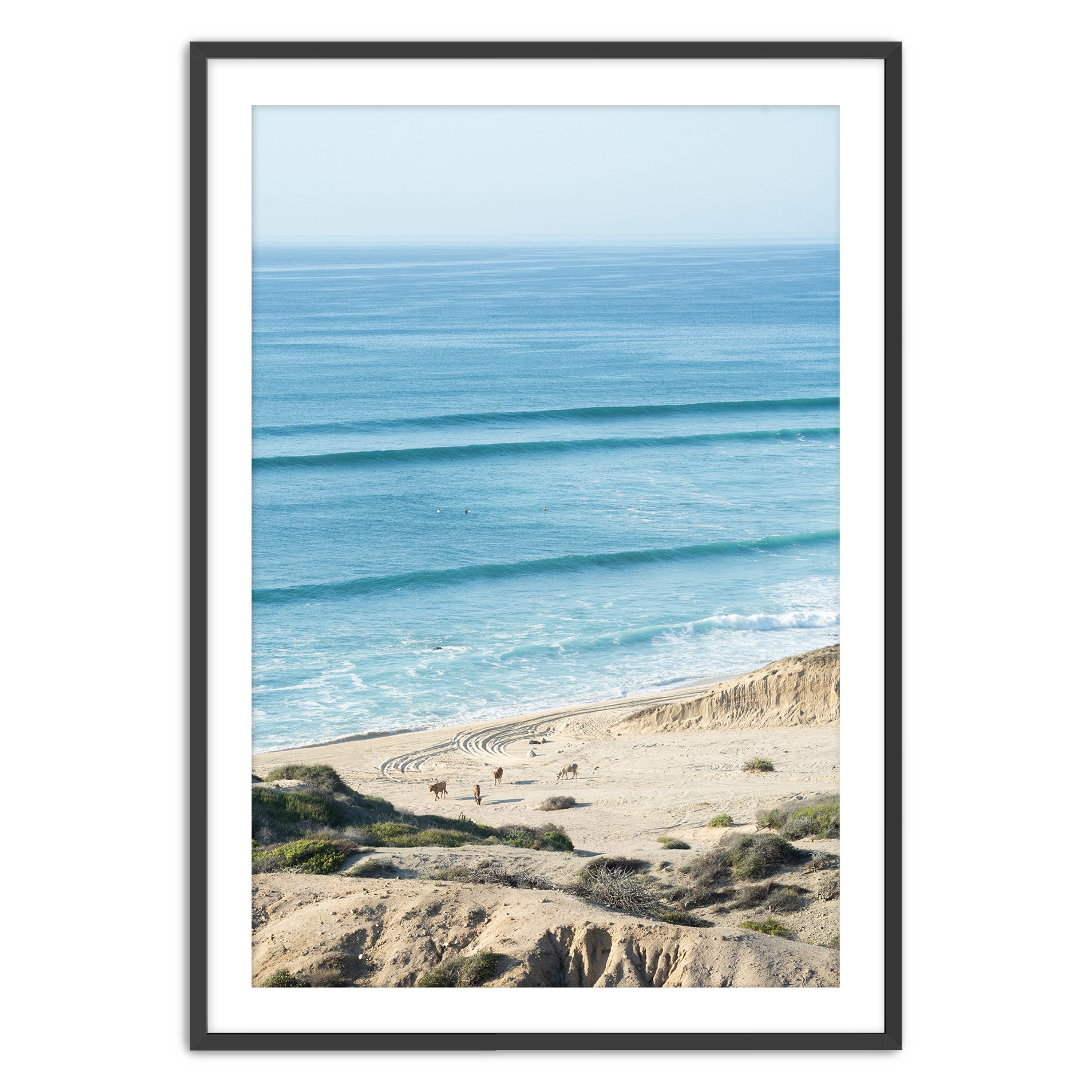 Baja Locals
