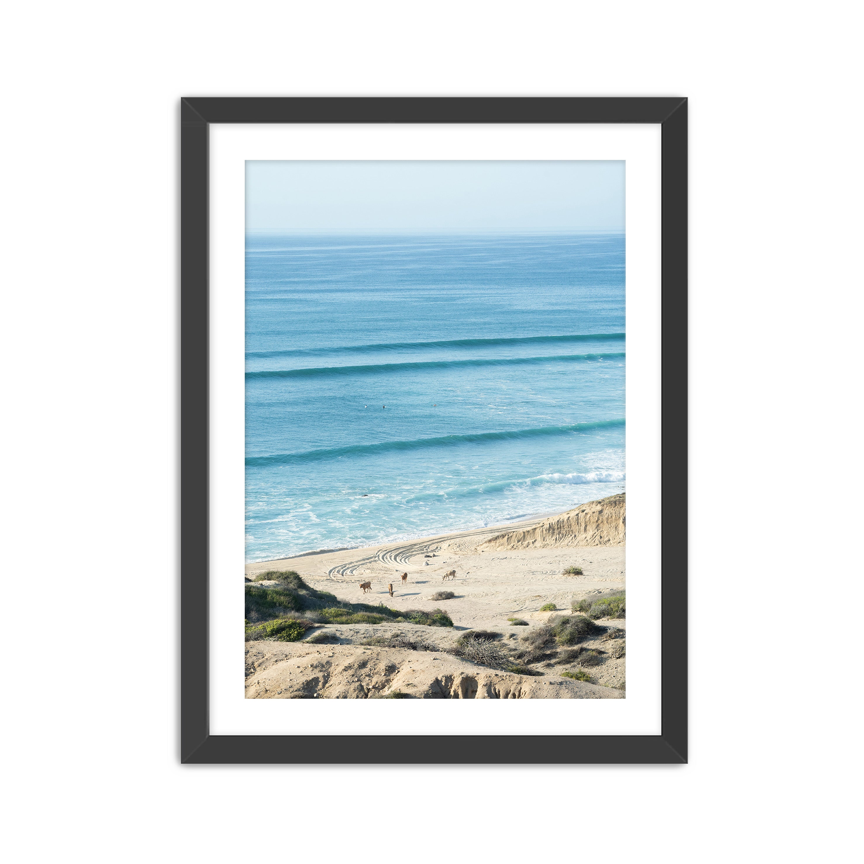 Baja Locals