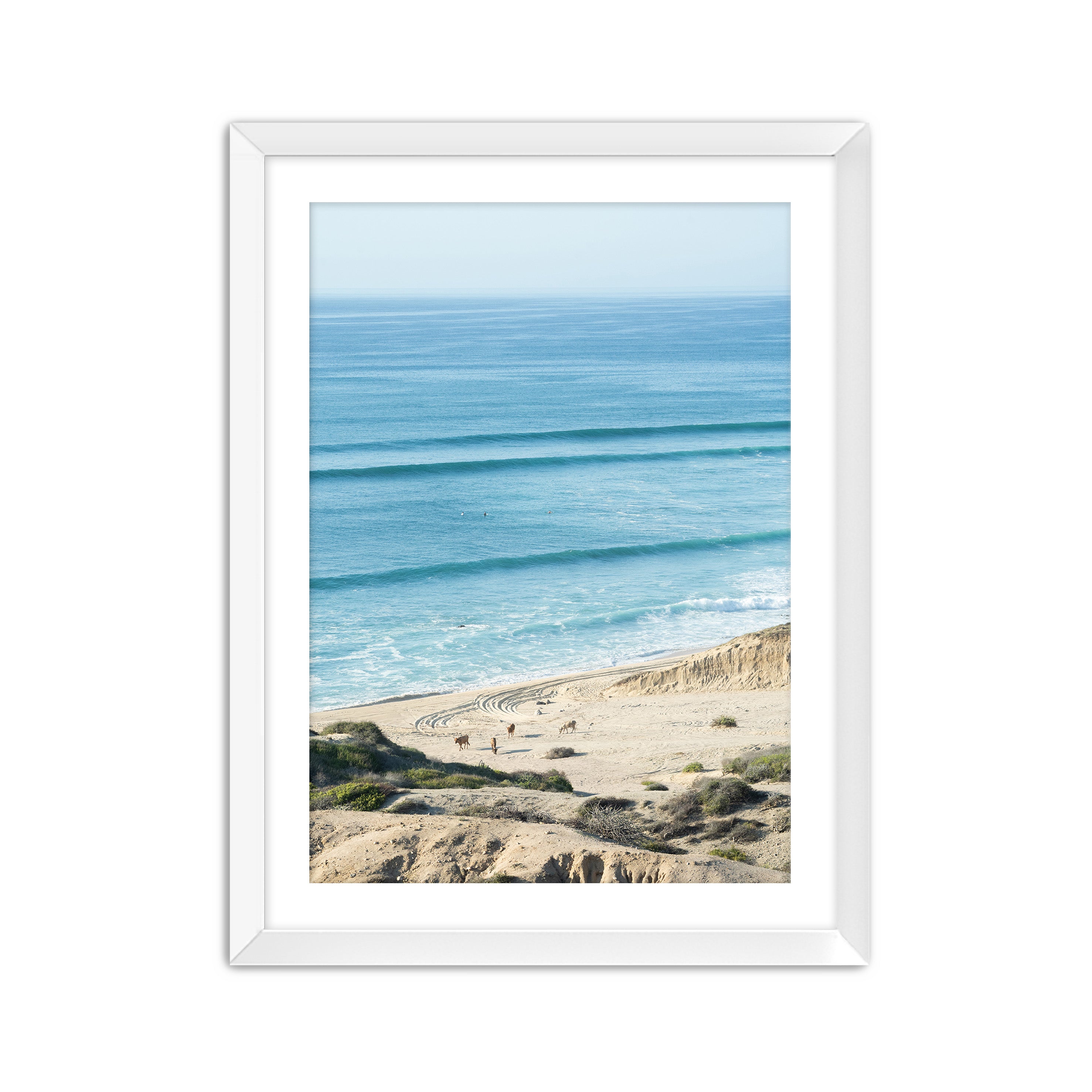 Baja Locals