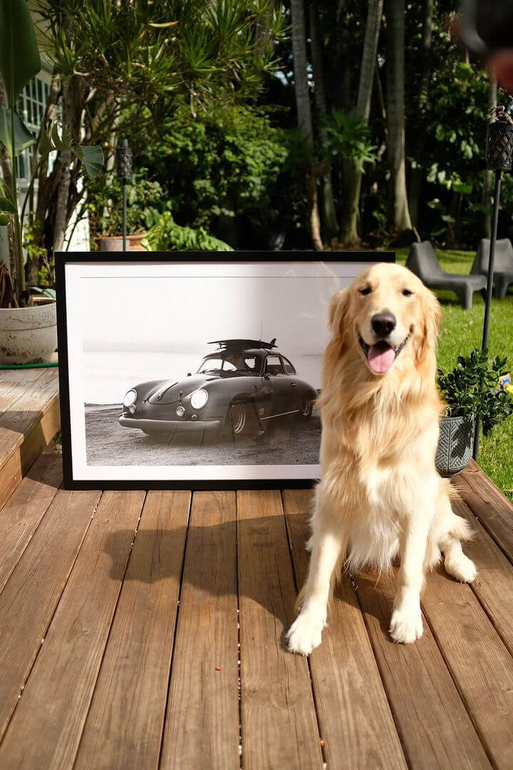 Dawn Patrol - secondary