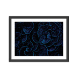 Bioluminescent Depths