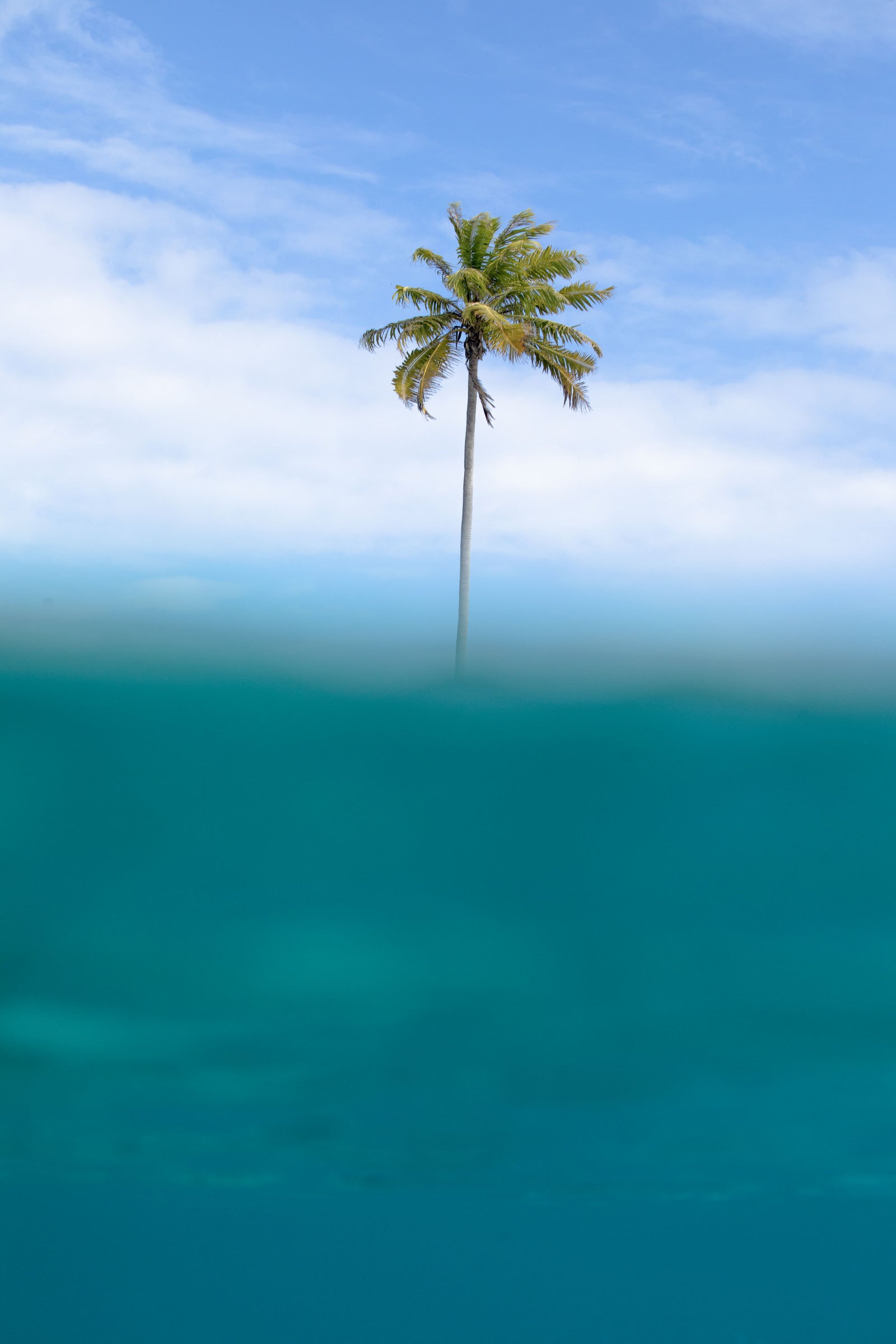 Isola