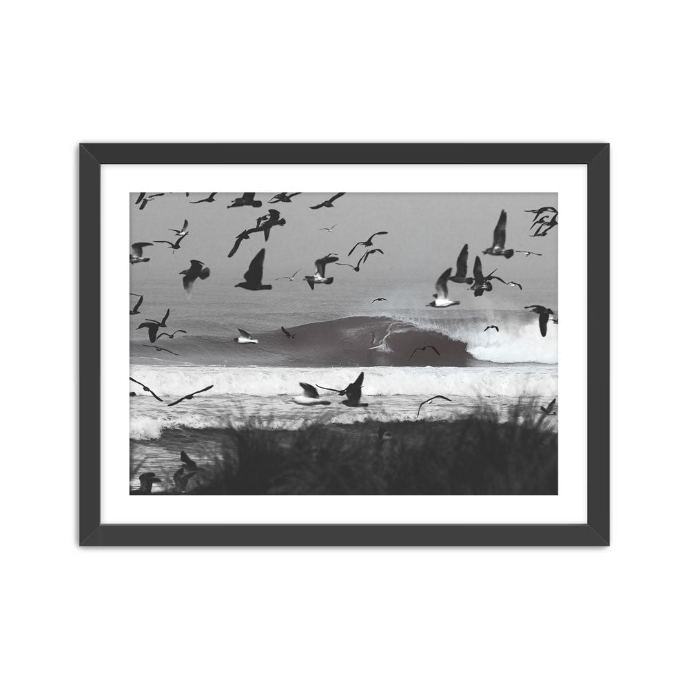 Seagulls Print Pedro Bala Black Small 