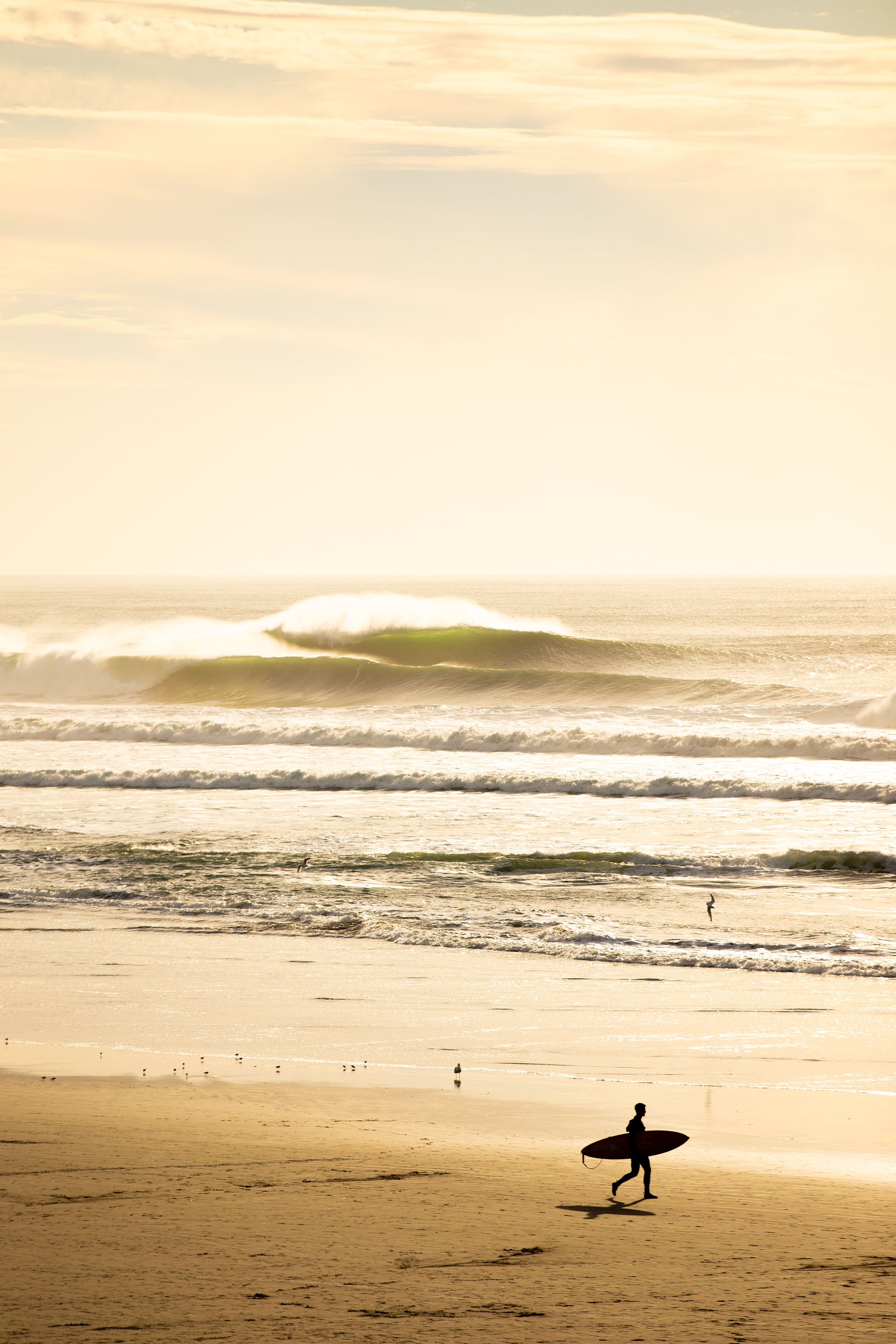 Surfers Paradise