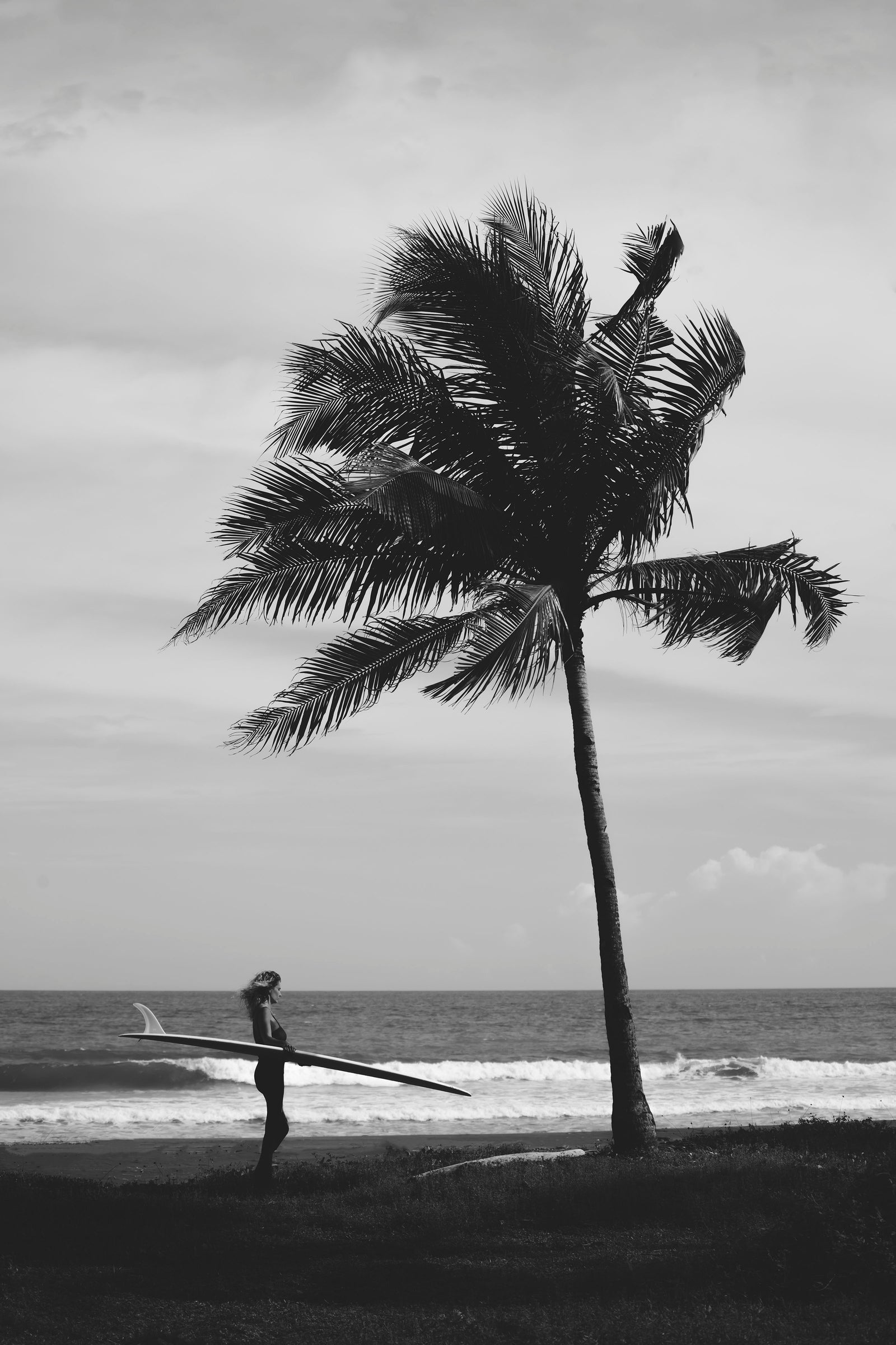 Warm Breeze
